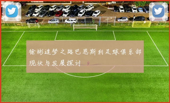 徐彬追梦之路巴恩斯利足球俱乐部现状与发展探讨